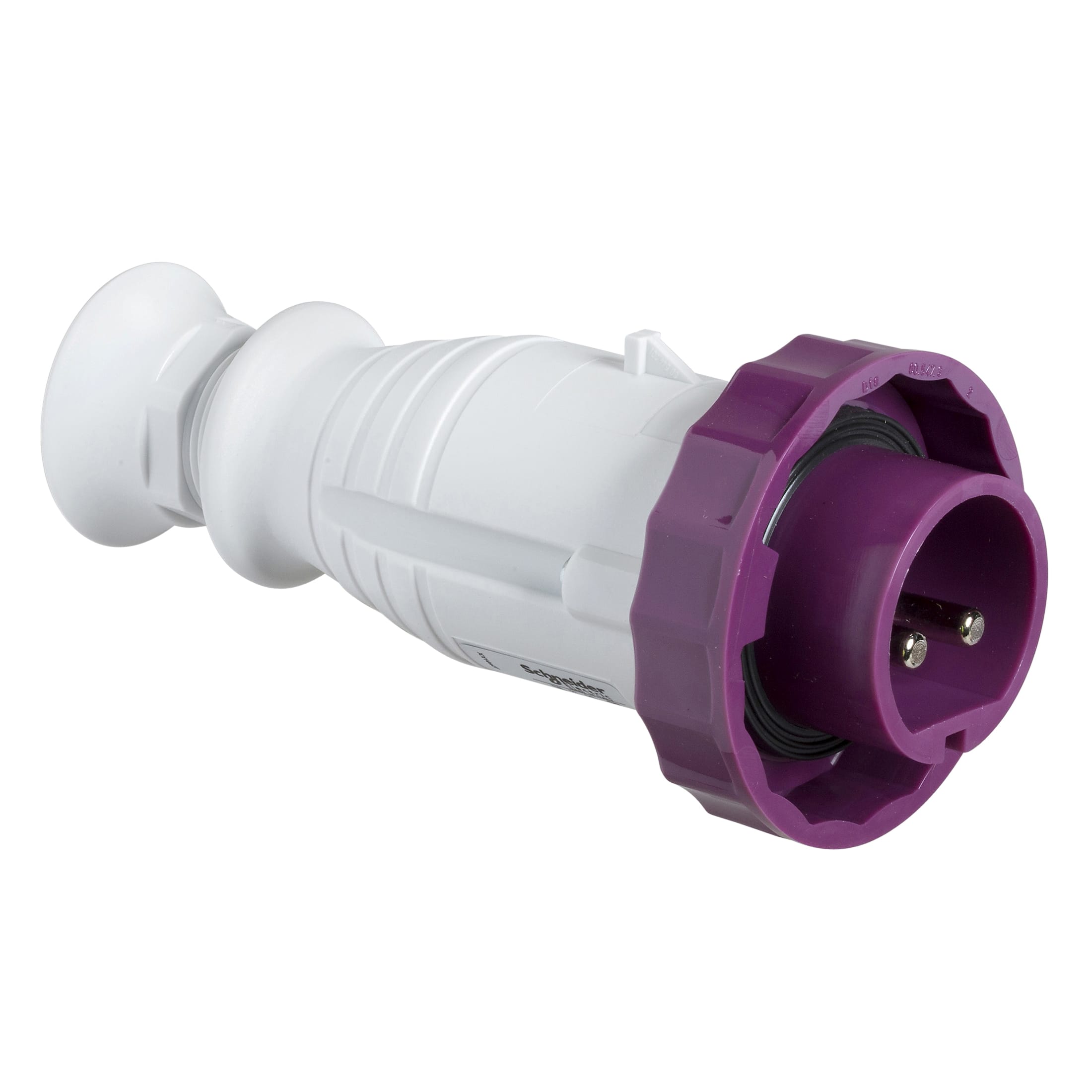 SCHNEIDER ELECTRIC - Spina mobile BTS IP67 32A 24V 50Hz 2P