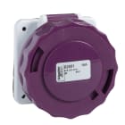 SCHNEIDER ELECTRIC - Presa fissa BTS da incasso IP67 32A 24V 50Hz 3P