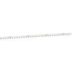 SCHNEIDER ELECTRIC - Pettine collegamento tagliabile iC40 Aux+1P+N (AuxNL) 48 moduli