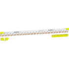 SCHNEIDER ELECTRIC - Pettine iC40 1P+N 24 moduli