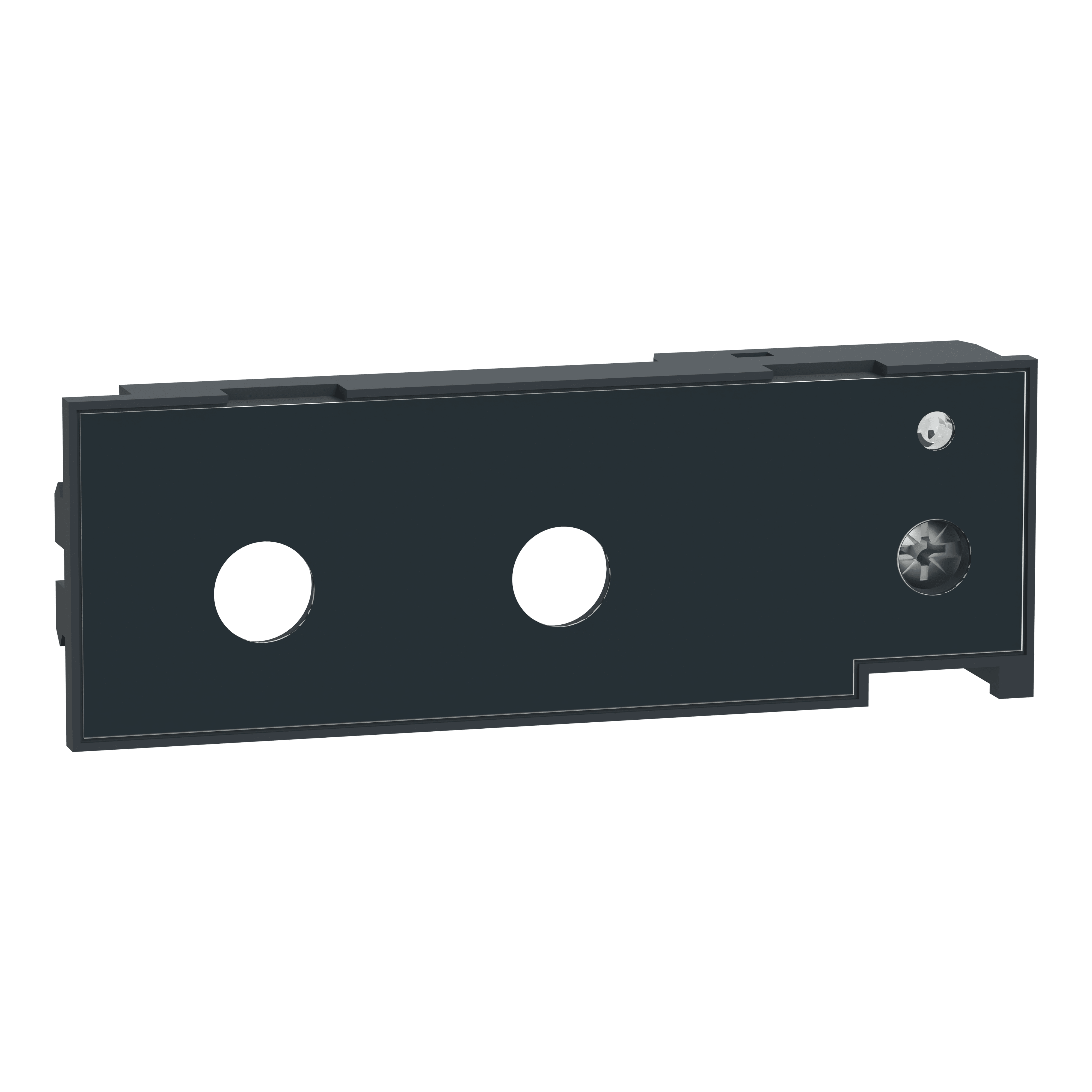 SCHNEIDER ELECTRIC - modulo di taratura a lunga durata, ComPacT NS, IEC, sganciatore MicroLogic, modulo OFF&nbsp;(Ir = In)