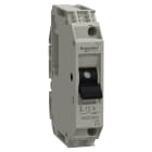 SCHNEIDER ELECTRIC - Interruttore TeSys per circuiti di controllo - GB2CB - 12 A - 1 polo - 1d