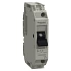 SCHNEIDER ELECTRIC - Interruttore TeSys per circuiti di controllo - GB2CS - 1 A - 1 polo - 1d
