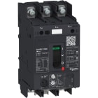 SCHNEIDER ELECTRIC - Interruttore automatico magnetotermico a leva, TeSys, GV4PE, 3,5A Icu 50kA dado