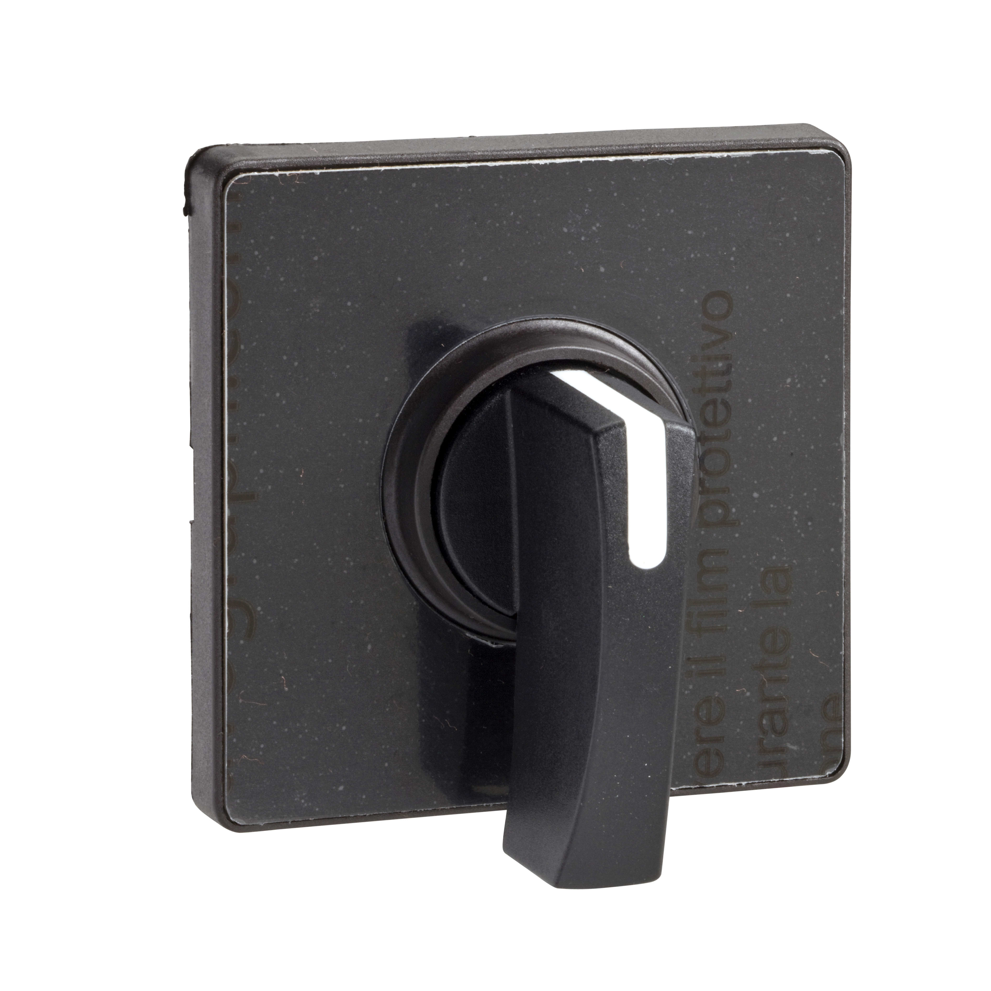 SCHNEIDER ELECTRIC - Testa commutatore 60 x 60mm - nera - leva nera - etichetta neutra da incidere