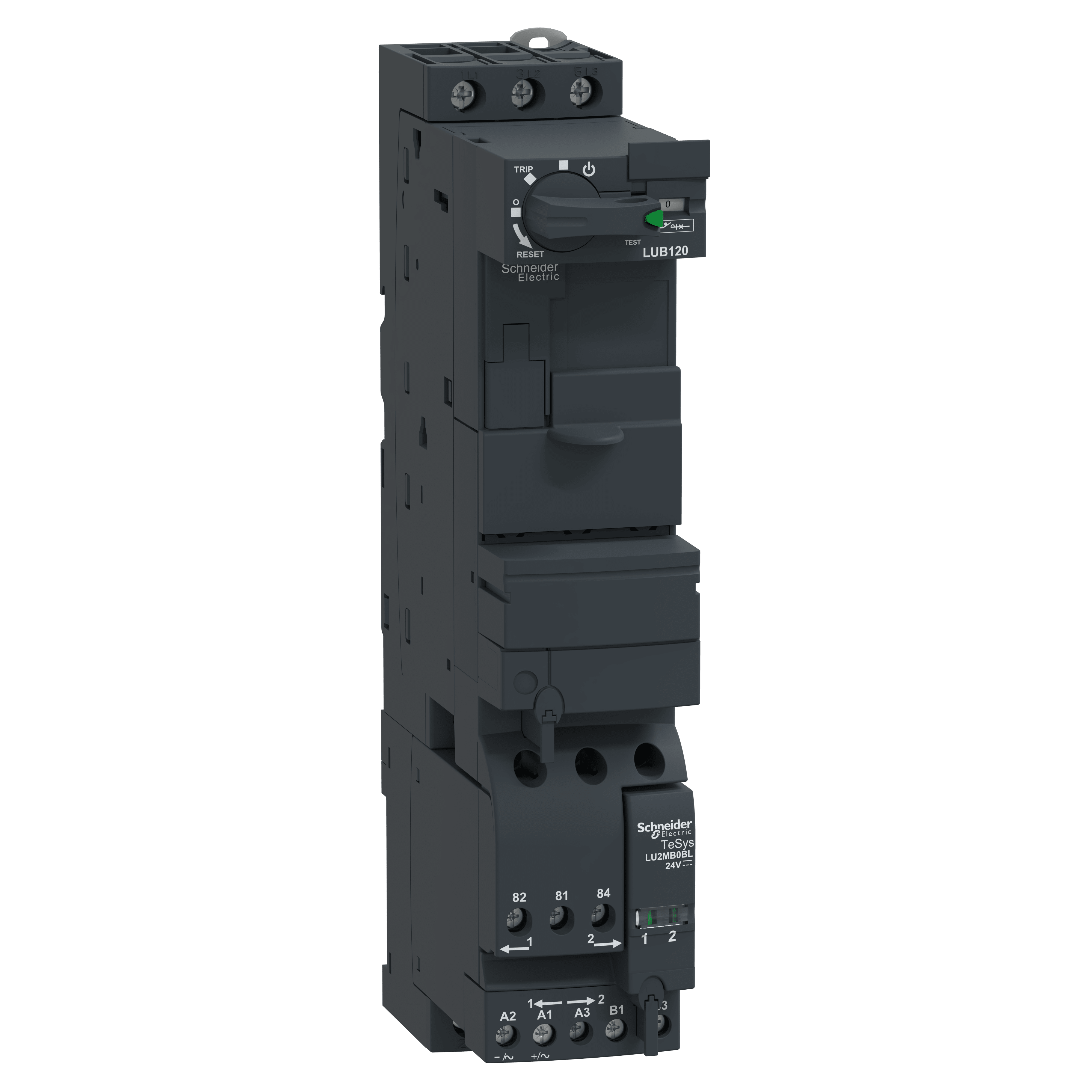 SCHNEIDER ELECTRIC - Base di potenza - TeSys U - 12 A - 24 V CC - Controllo morsetti a vite