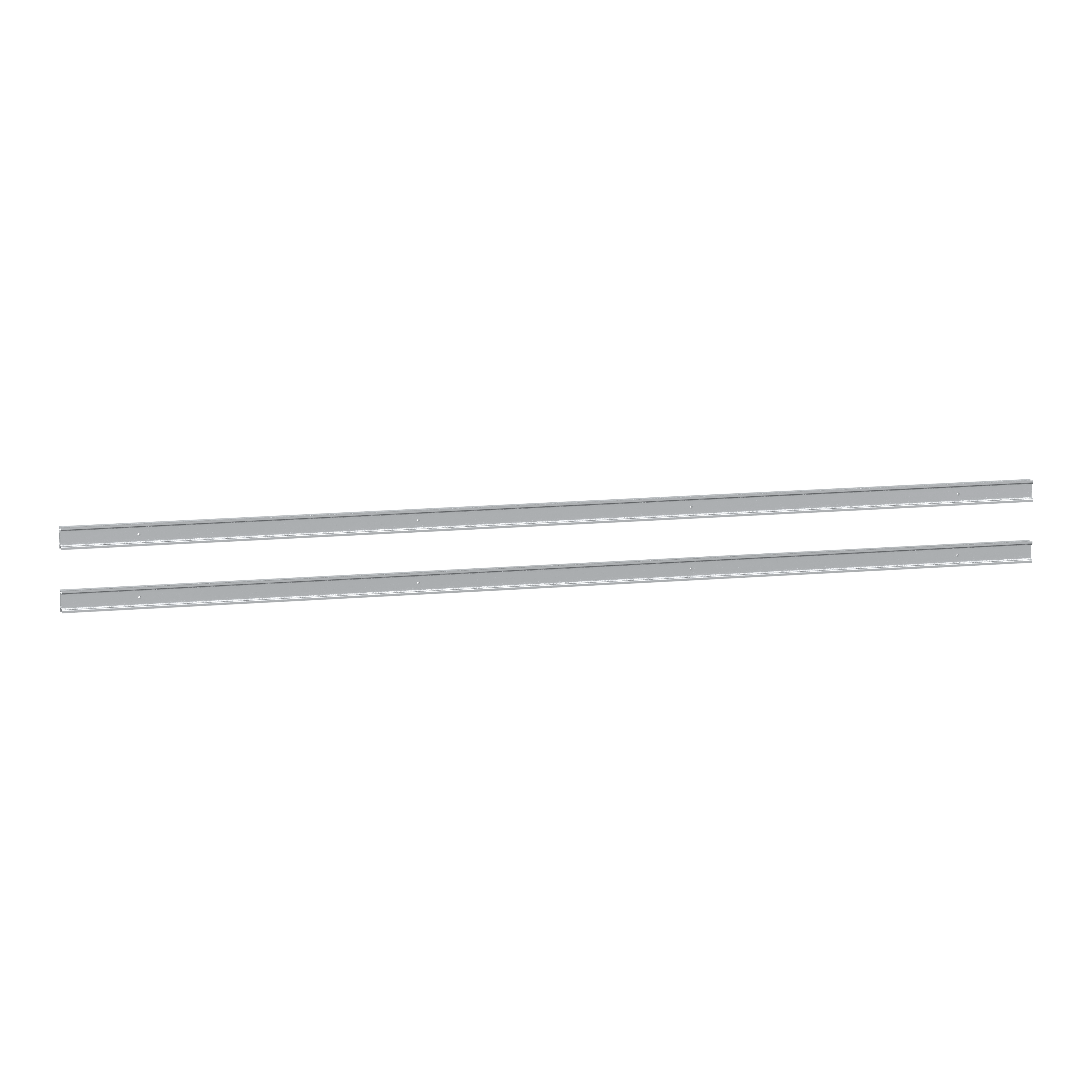 SCHNEIDER ELECTRIC - 2 Guide modulari L1600mm