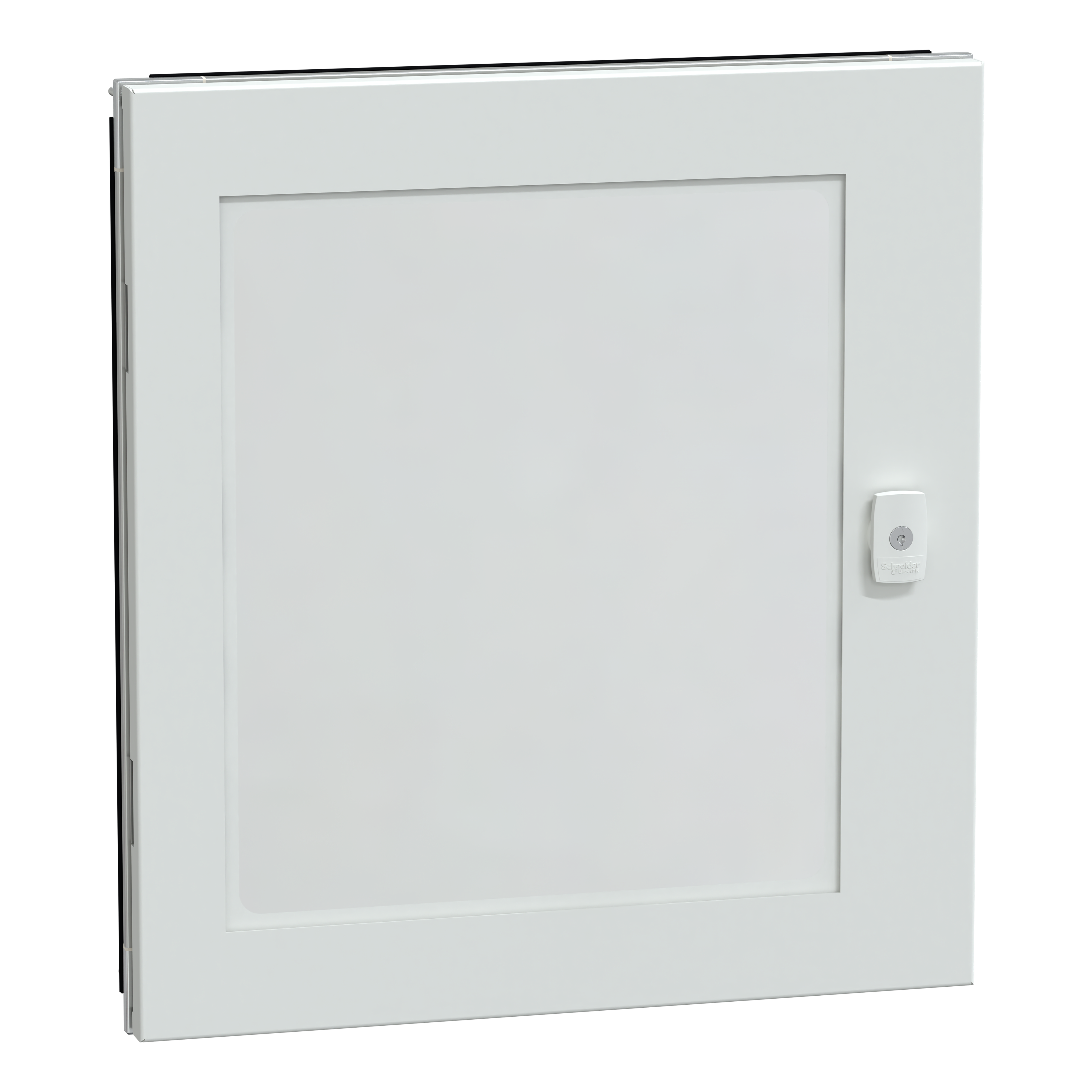 SCHNEIDER ELECTRIC - Struttura, PrismaSeT, Porta, Porta trasp.Prisma G IP55 11M