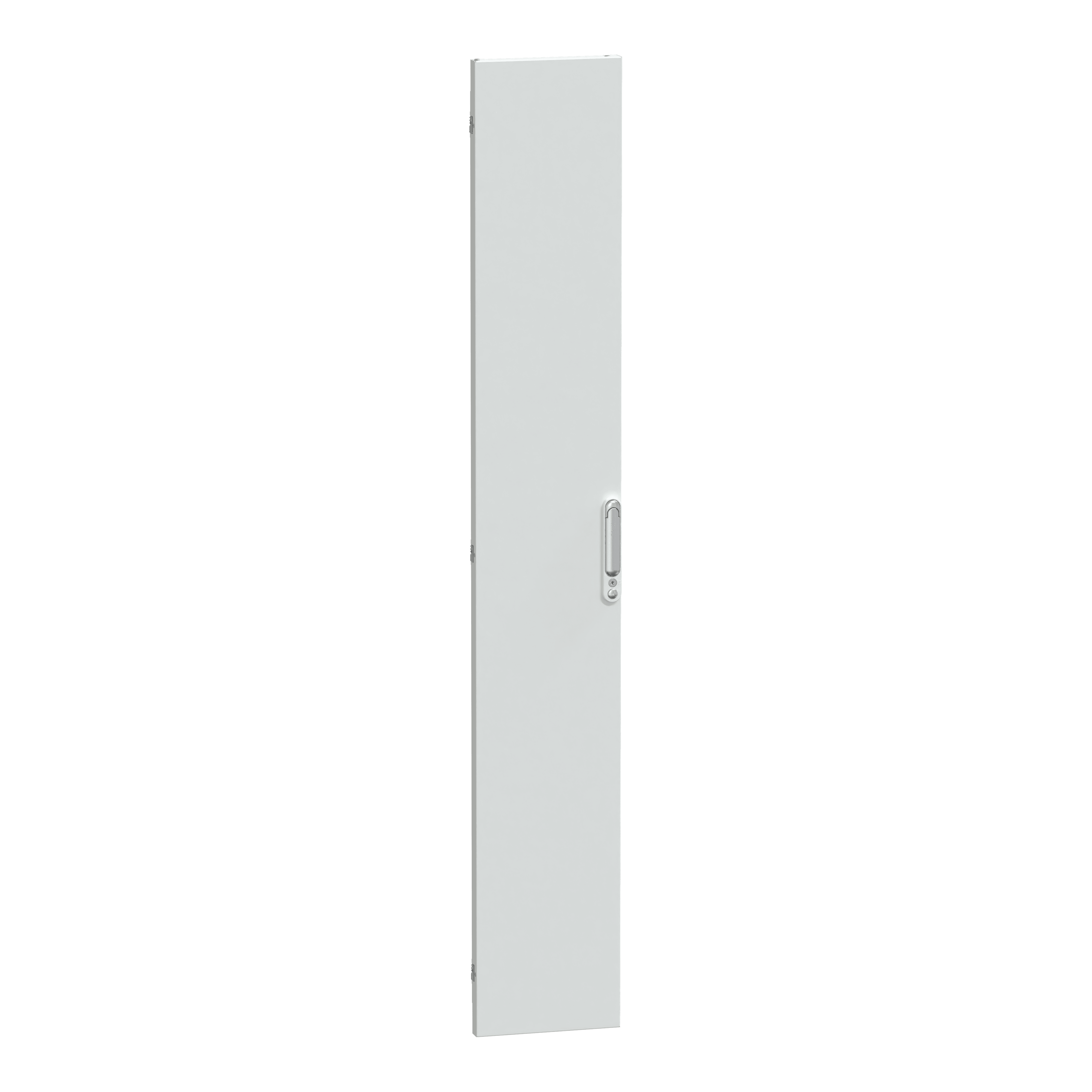 SCHNEIDER ELECTRIC - Porta piena IP55 L300 Prisma P