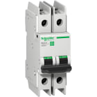 SCHNEIDER ELECTRIC - Interruttore magnetotermico C60BP 2P D 2A 10kA 480Y/277V UL489