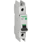 SCHNEIDER ELECTRIC - Interruttore magnetotermico C60BP 1P Z 40A 10kA 240V UL489