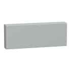 SCHNEIDER ELECTRIC - Cassetta industriale Flat Box 300x800x120