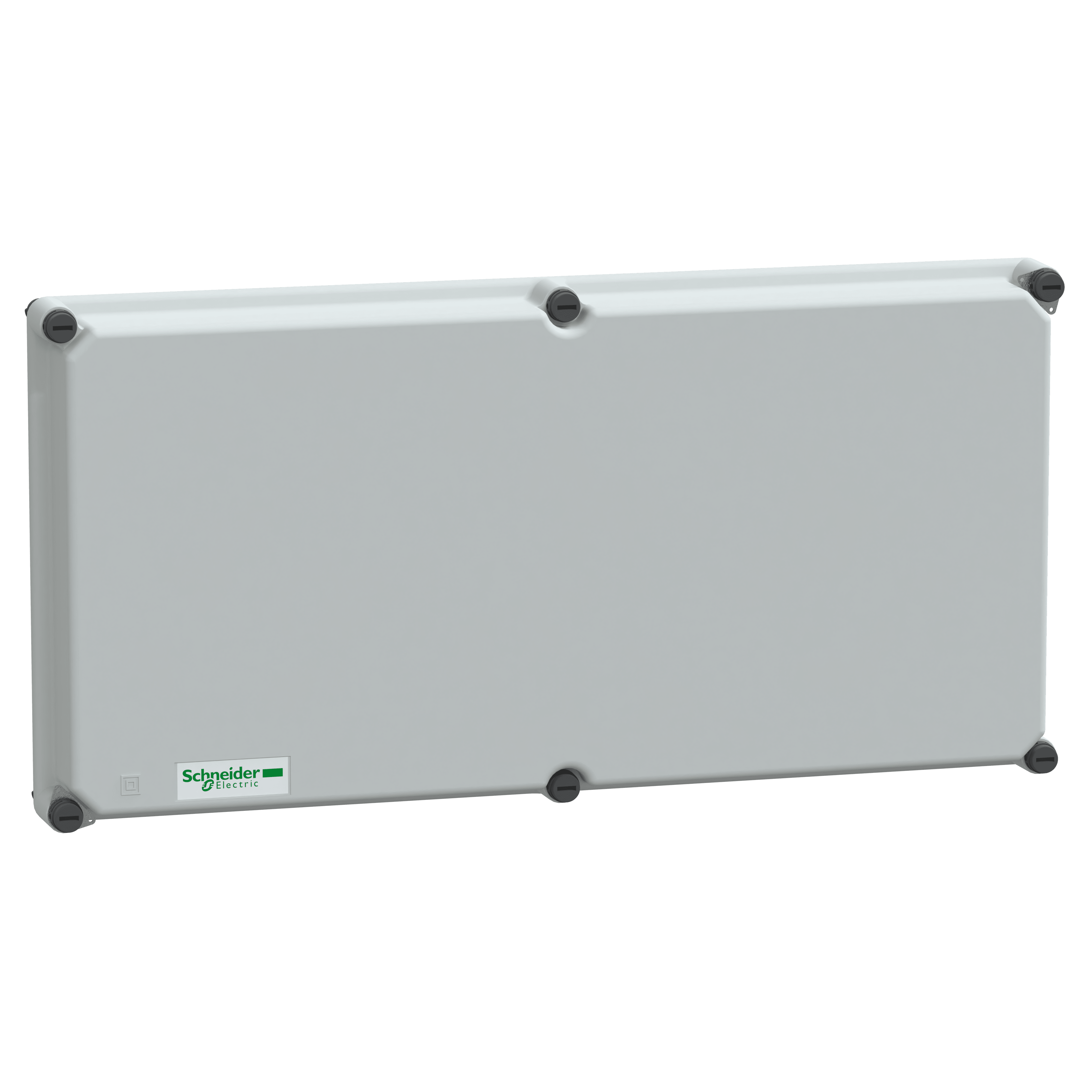 SCHNEIDER ELECTRIC - Coperchio in poliestere opaco 27x54x4,5cm