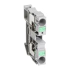 SCHNEIDER ELECTRIC - Morsettiera, Linergy TR, tipo push-in, passante, 2 punti, 10 mm², grigio.