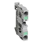 SCHNEIDER ELECTRIC - Morsettiera, Linergy TR, tipo push-in, passante, 2 punti, 6 mm², grigio.