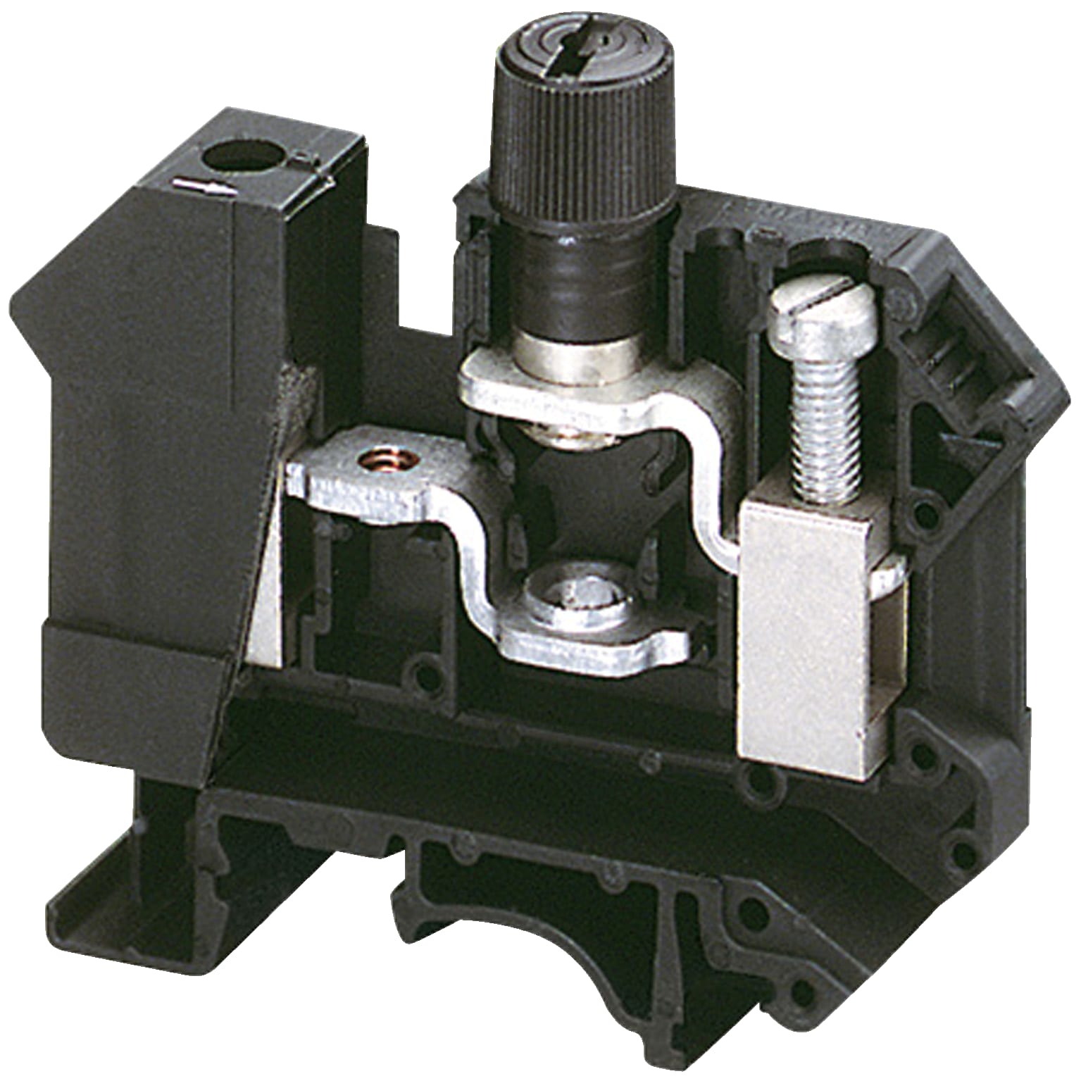 SCHNEIDER ELECTRIC - Morsetto vite fusibile 5x20, 2pt, 10mm²