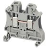 Miniatura Immagine principale 1