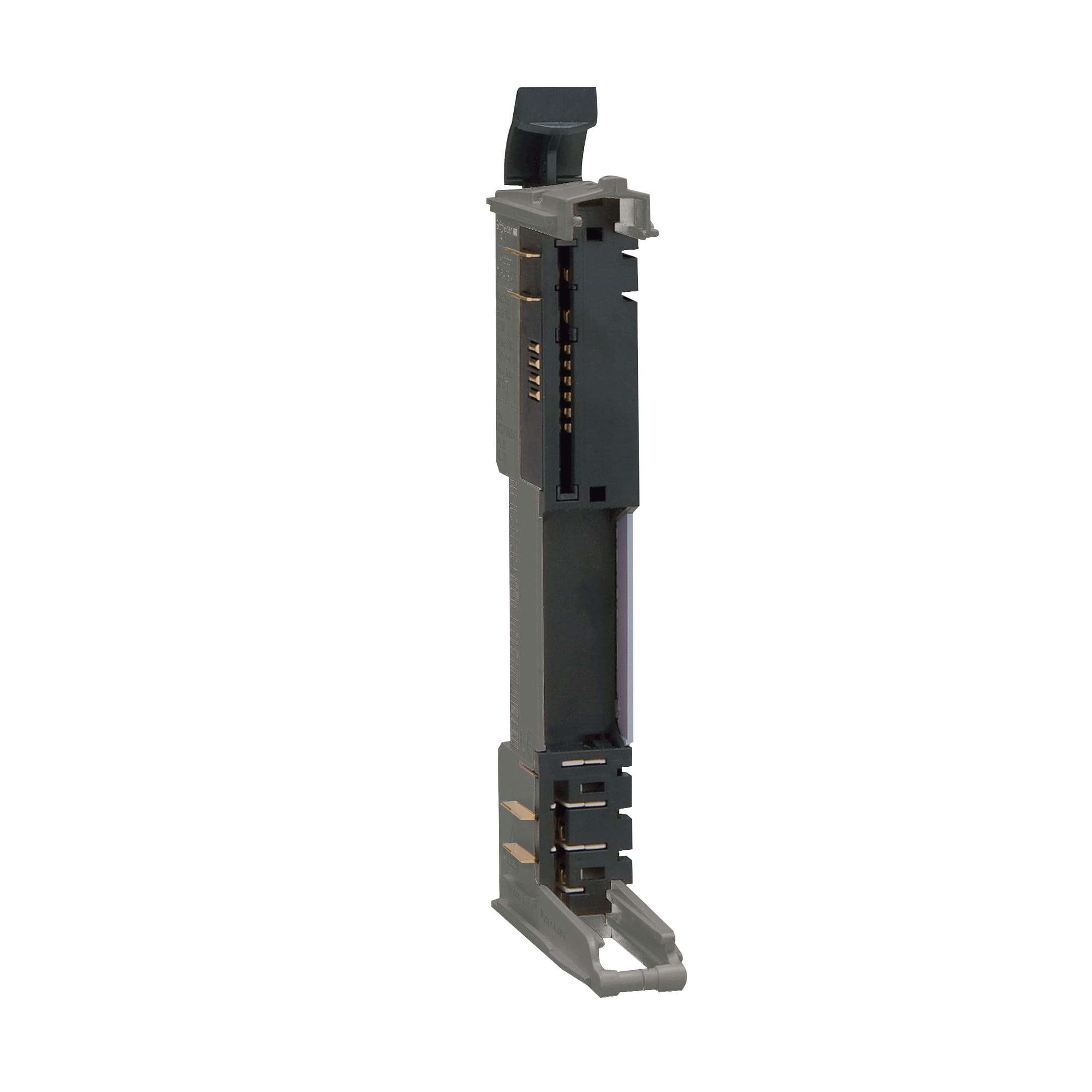SCHNEIDER ELECTRIC - Base bus con impostazione indirizzi - 24 Vcc - grigio - 1 pz