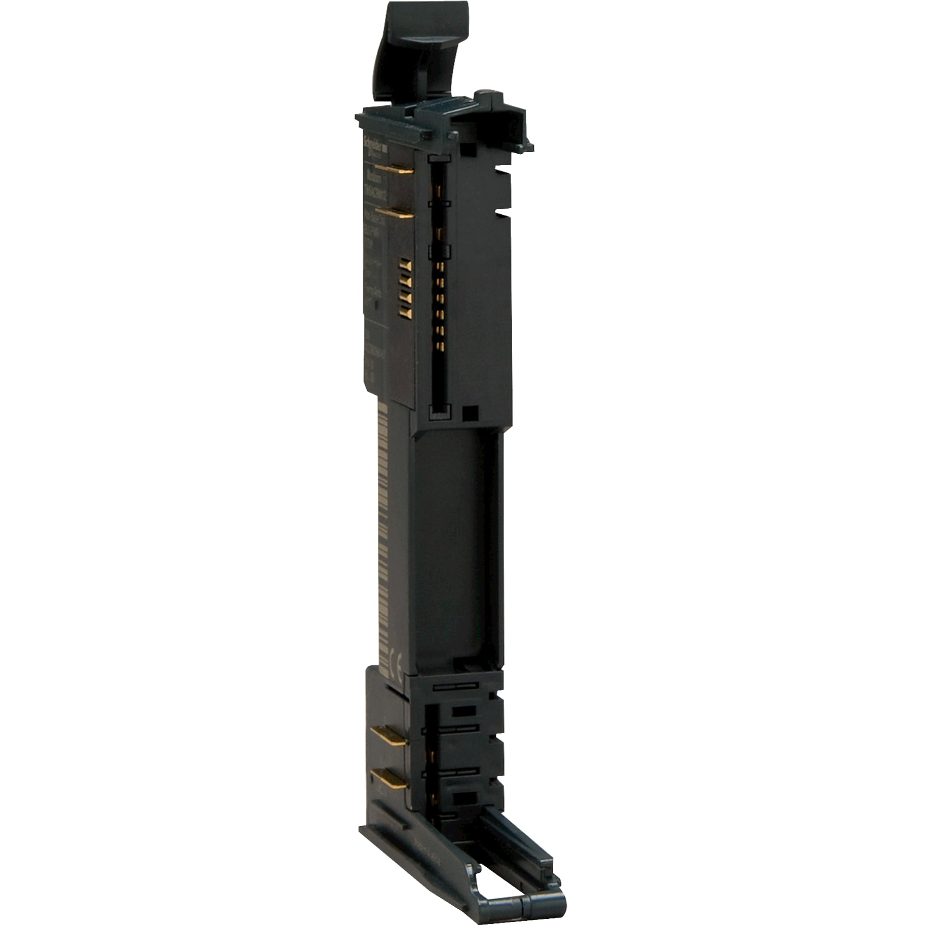 SCHNEIDER ELECTRIC - Base bus - 240 Vca - nero - 1 pz