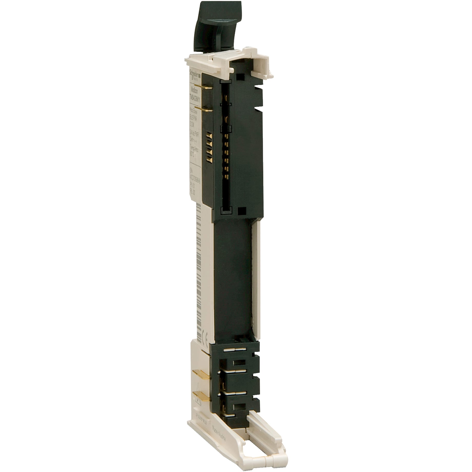 SCHNEIDER ELECTRIC - Base bus con impostazione indirizzi - 24 Vcc - bianco - 1 pz