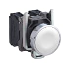 SCHNEIDER ELECTRIC - Pulsante completo filoghiera bianco Ø22 ad impulso 1 NO senza marcatura