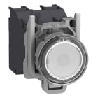 SCHNEIDER ELECTRIC - Pulsante luminso, Harmony XB4 - ATEX D, metallo, bianco filoghiera, 22mm, ad impulso, con cappuccio, 1NO, 24...254V AC/DC