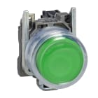 SCHNEIDER ELECTRIC - Pulsante verde Ø22 - ad impulso - 1NO