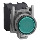 SCHNEIDER ELECTRIC - Pulsante luminoso verde con cappuccio ATEX 24..240V
