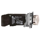 SCHNEIDER ELECTRIC - Pulsante luminoso bianco Ø22 - filoghiera ad impulso - 120V - 1NO+1NC