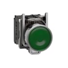 SCHNEIDER ELECTRIC - Pulsante luminoso verde Ø22 - filoghiera ad impulso - 120V - 1NO+1NC- LED universale