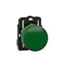 SCHNEIDER ELECTRIC - Lampada spia completa Ø22 - IP65 - verde - LED universale - 120Vac