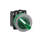 SCHNEIDER ELECTRIC - Selettore luminoso verde 2pos.- filopannello - 24Vac/dc - ghiera grigia - Ø30 - LED universale - NO+NC