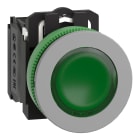 SCHNEIDER ELECTRIC - Pulsante luminoso verde 24Vac/dc NO+NC filopannello grigio - Ø30 - LED universale