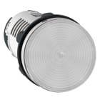 SCHNEIDER ELECTRIC - Lampada spia - LED - trasparente - 24 V