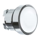 SCHNEIDER ELECTRIC - Testa pulsante Ø22 - ad impulso - filoghiera - bianca - senza marcatura