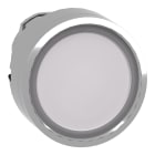 SCHNEIDER ELECTRIC - Testa pulsante luminoso Ø22 - bianco - per inserimento etichetta- per LED universale