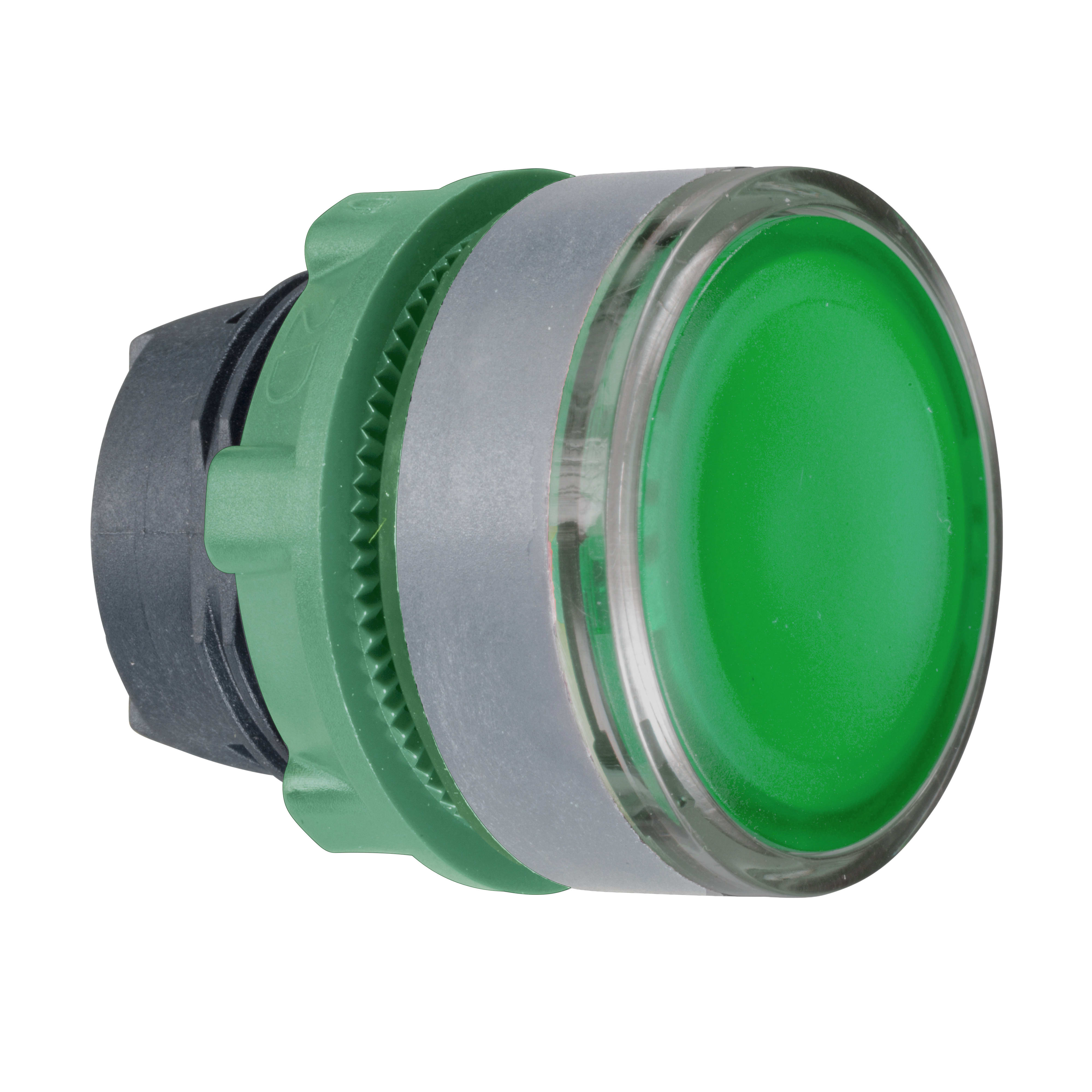 SCHNEIDER ELECTRIC - Testa pulsante luminoso verde ghiera grigia- per LED universale- Ø22