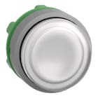SCHNEIDER ELECTRIC - Testa pulsante luminoso bianco ghiera grigia- per LED universale - Ø22