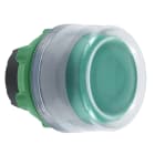 SCHNEIDER ELECTRIC - Testa pulsante verde con cappuccio grigio