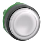 SCHNEIDER ELECTRIC - Testa pulsante luminoso Ø22 - bianco- per LED universale