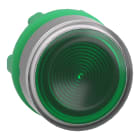 SCHNEIDER ELECTRIC - Testa pulsante luminoso verde - ghiera grigia- per LED universale- Ø22