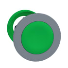 SCHNEIDER ELECTRIC - Testa pulsante verde a filo ghiera grigia