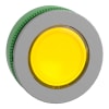 Miniatura Immagine principale 1