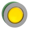 Miniatura Immagine principale 1