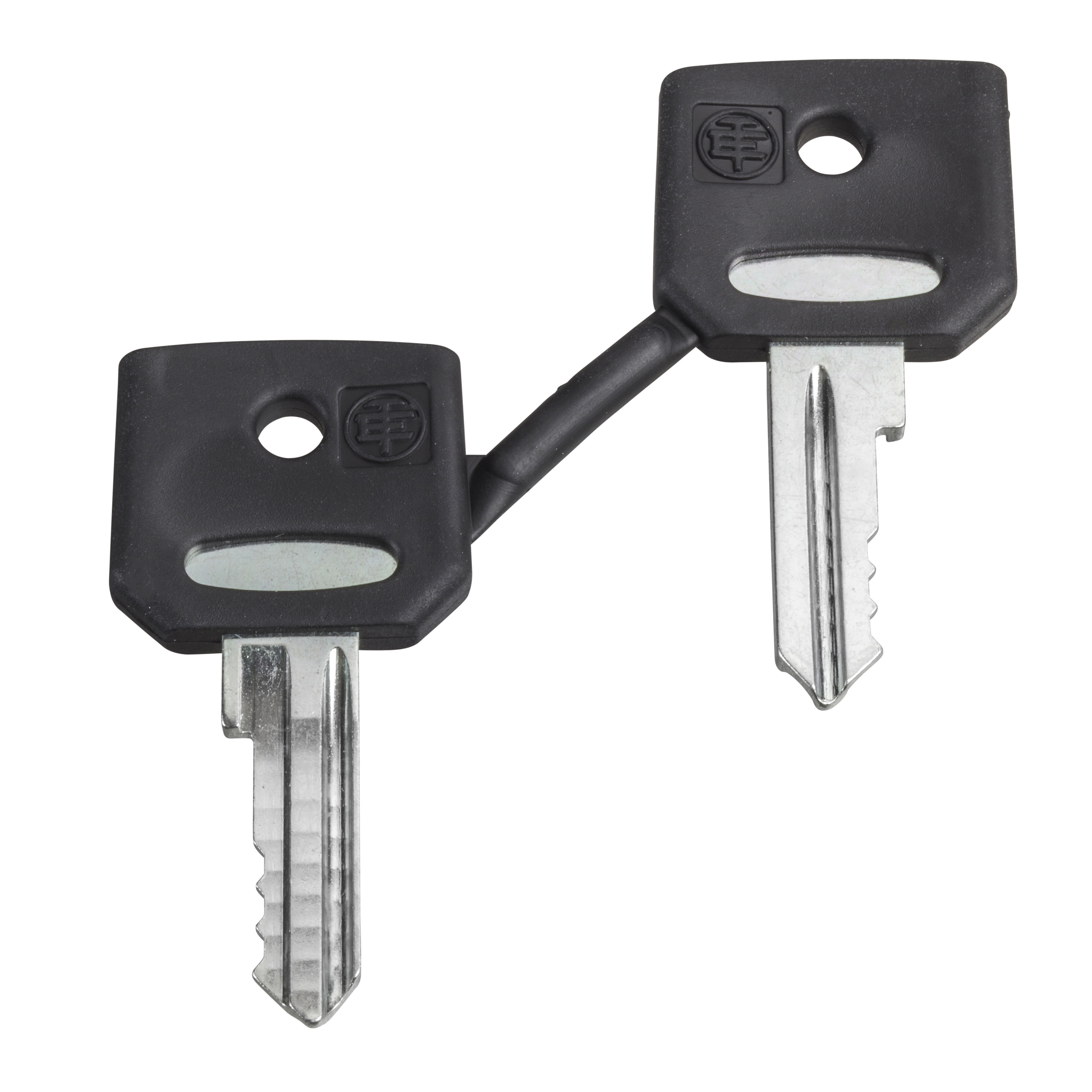 SCHNEIDER ELECTRIC - Set 2 chiavi 3131A