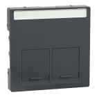 SCHNEIDER ELECTRIC - PLACCA CENTR DOPPIA PRESA DATI ANTRACITE