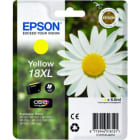 EPSON - MARGHERITA GIALLO XL