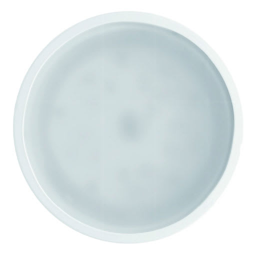 SIDE - NET SC XL DIAM.110MM 15W 1360LM 3000K IP 5798-LBC