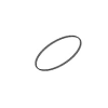 Miniatura Immagine principale 1
