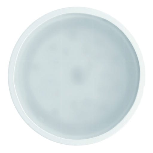 SIDE - NET SC XL DIAM.110MM 15W 1360LM 3000K IP